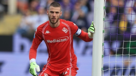 德赫亞：弗格森就像我的父親；金斯基？只有門將才能理解門將